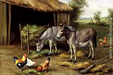 Donkeys And Poultry